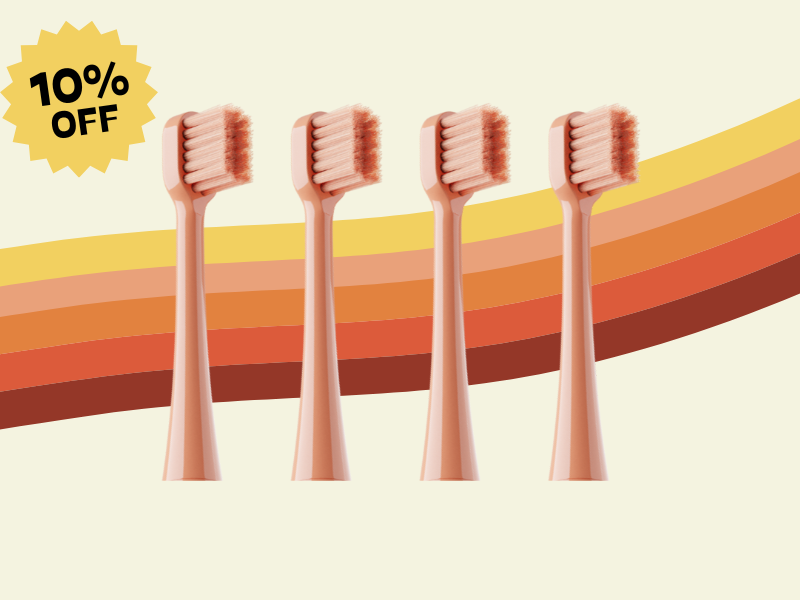 Happ E-Brush Head 4-Pack