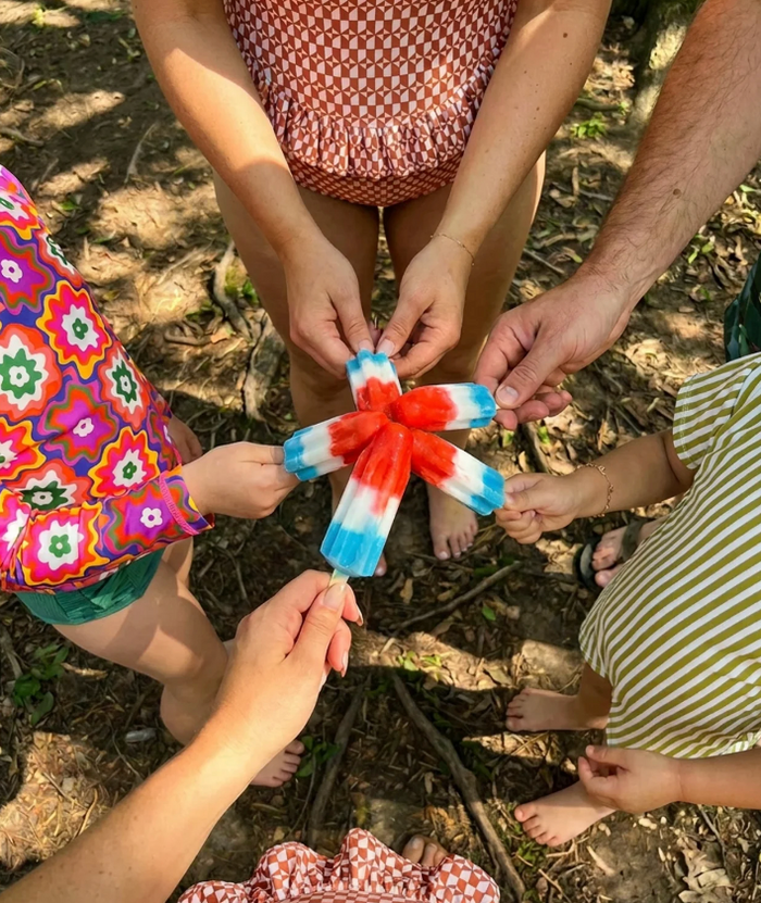 Popsicle Lunch